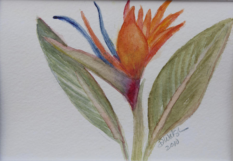 Bird of Paradise Painting by Donna Walsh