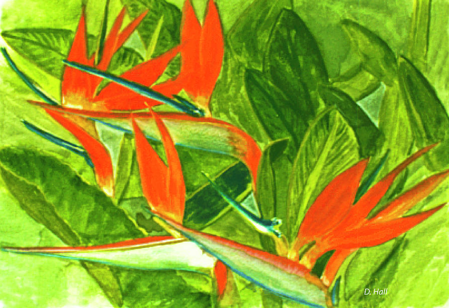 Bird Of Paradise Flower 55 Painting by Donald k Hall