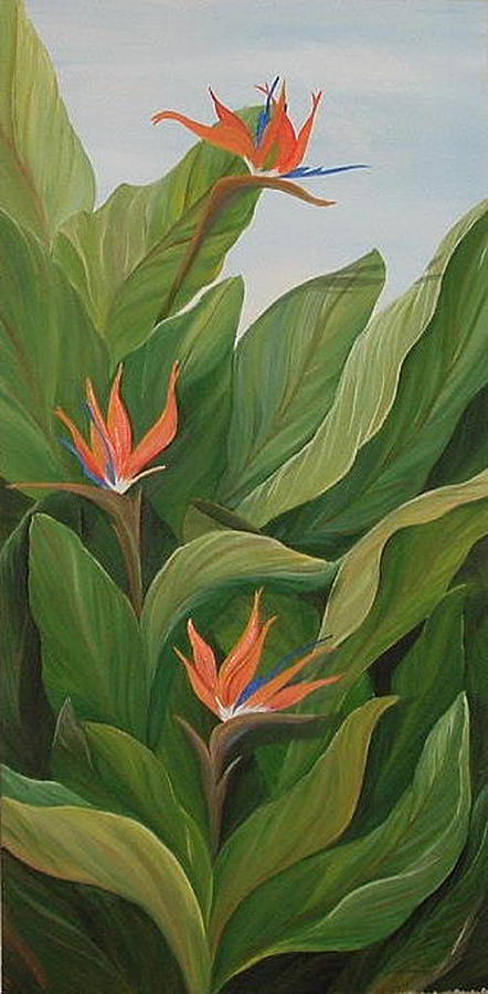 Bird of Paradise Painting by Maria Polfliet - Fine Art America