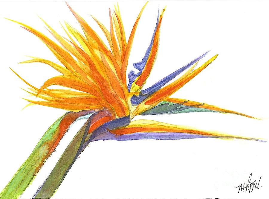 Bird Of Paradise Painting - Bird Of Paradise by Midge Pippel Bird Of Paradise Painting - Bird Of Paradise by Midge Pippel