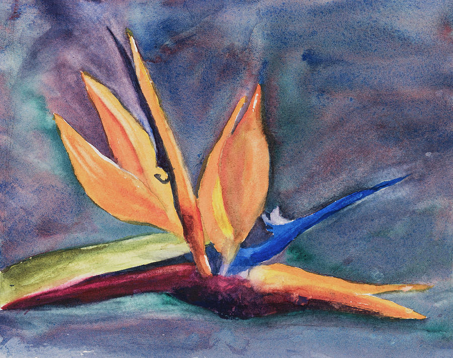 Bird of Paradise Painting by Nadine Button