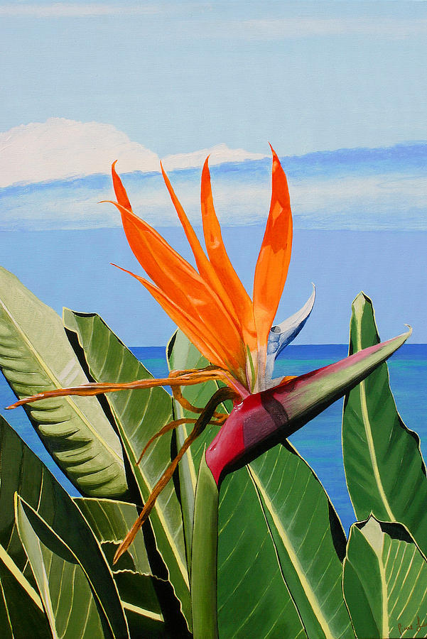 Bird of paradise Painting by Pierre Leclerc Photography