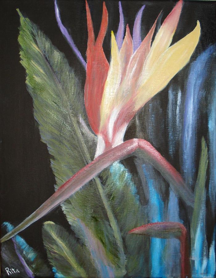 Bird of Paradise Painting by Rita Tortorelli