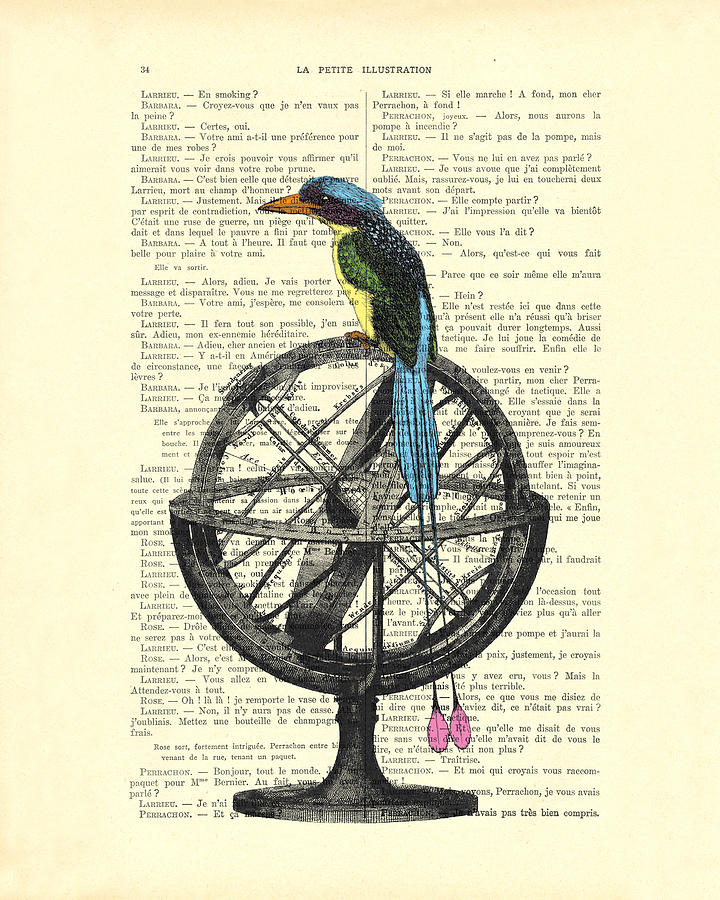 Paradise Digital Art - Colorful bird of paradise sitting on globe by Madame Memento