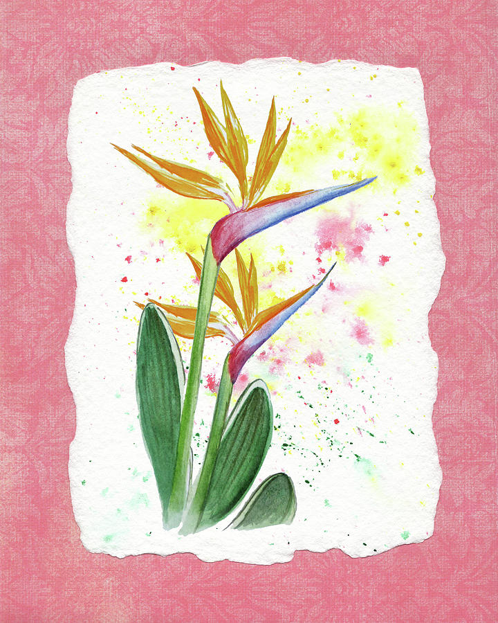 Bird Of Paradise Watercolor Splashes Painting