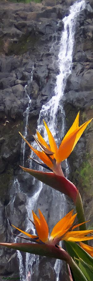 Bird of paradise with water Falls  Painting by Carl Gouveia