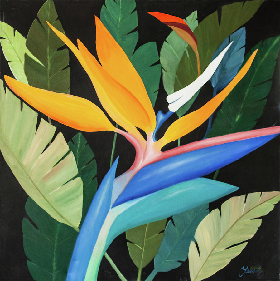 Bird Of Paradise Painting by Yamile Gaez | Fine Art America