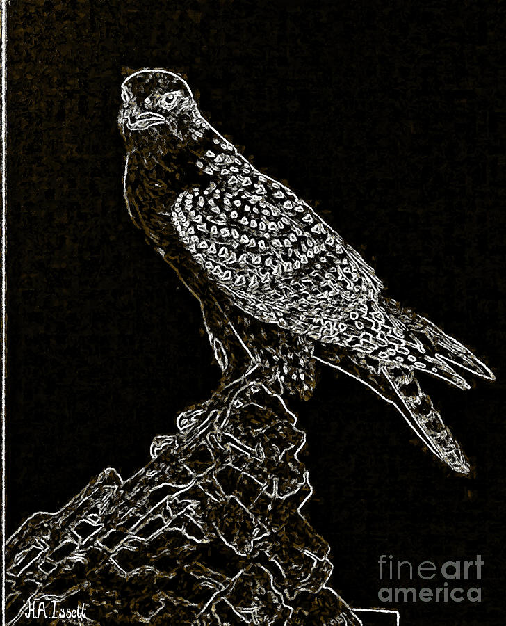 Bird of Prey White on Black Digital Art by Humphrey Isselt