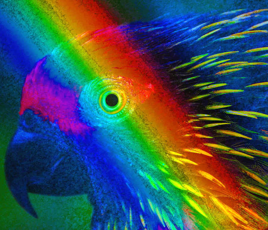 Bird of the Rainbow Painting by David Lee Thompson
