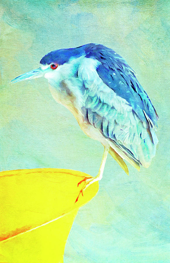 Bird On a Chair Digital Art by Sandra Selle Rodriguez