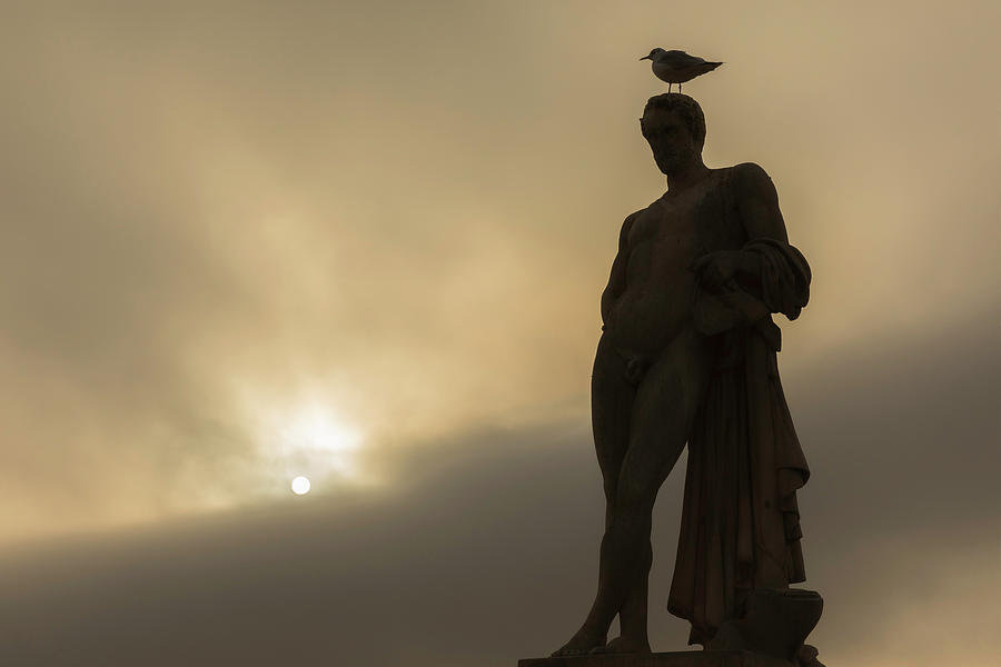 Bird on a Statue Photograph by Mark Harrington