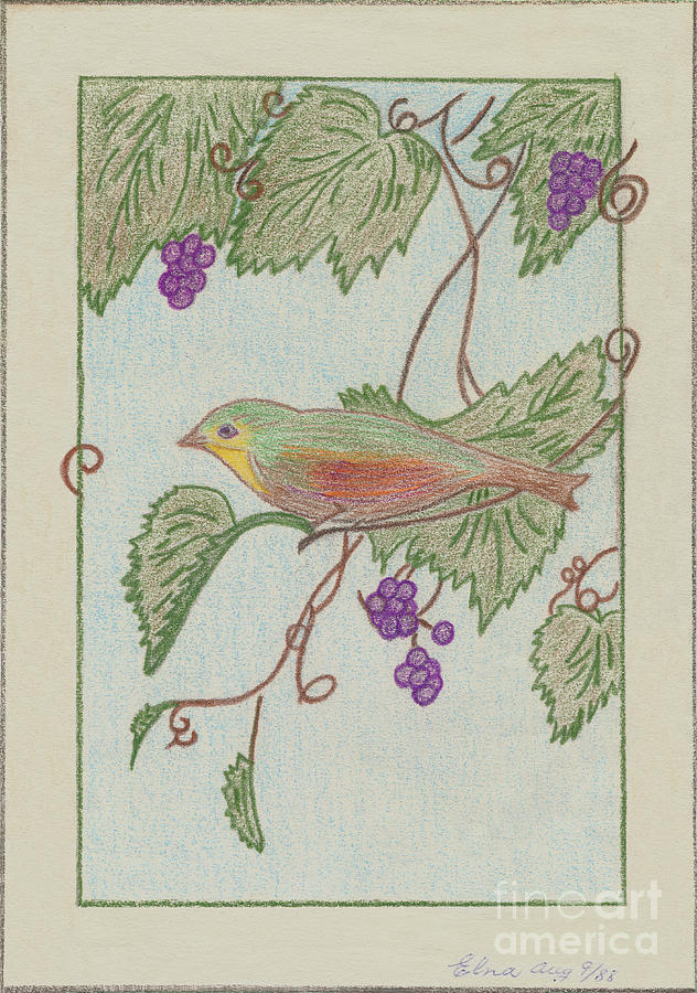 Bird on a Vine V2 Drawing by Donna L Munro