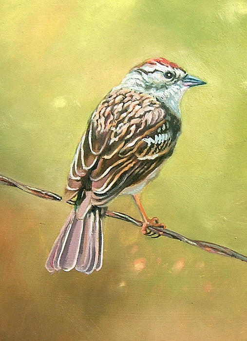 Bird on a Wire Painting by William Hay