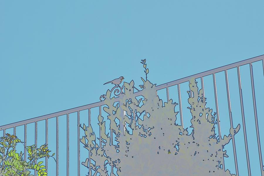 Bird On Fence Aqua I Digital Art by Linda Brody