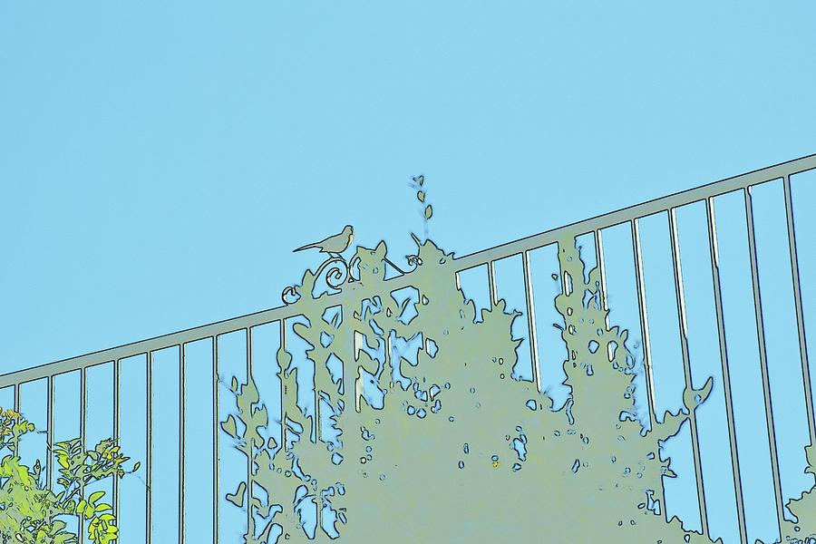 Bird On Fence Aqua II Digital Art by Linda Brody