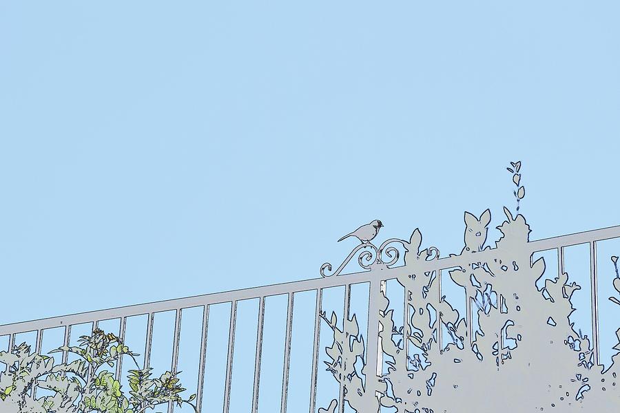 Bird on Fence Blue Digital Art by Linda Brody