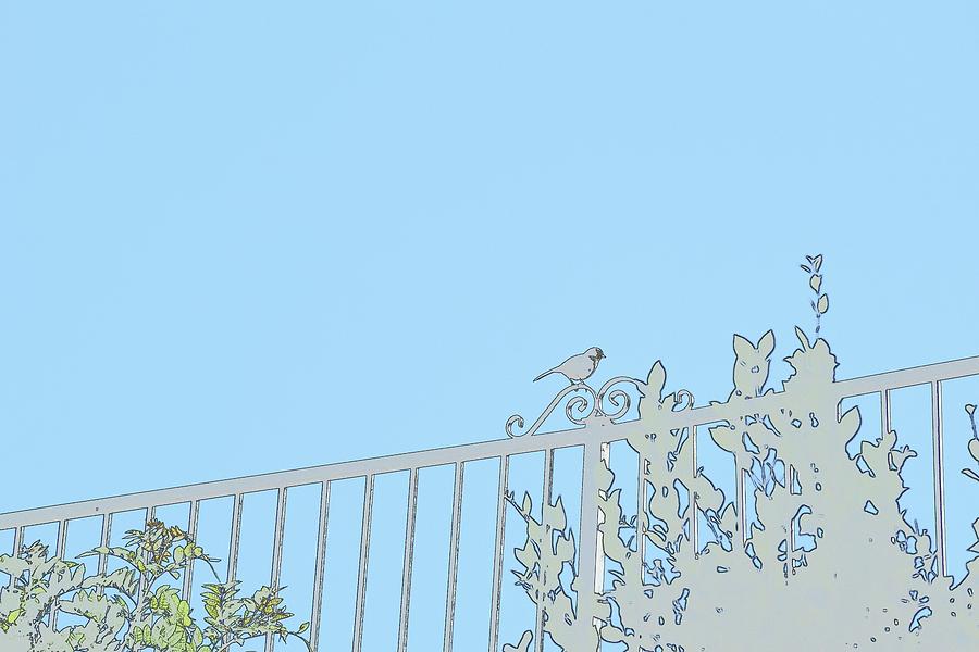 Bird On Fence Pastel I Digital Art by Linda Brody
