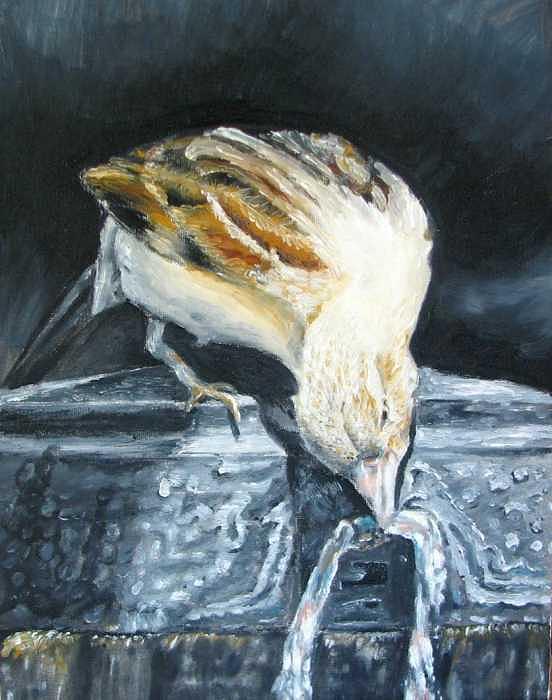 Bird Painting - Bird Original Oil Painting by Natalja Picugina Bird Painting - Bird Original Oil Painting by Natalja Picugina