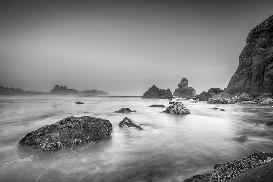 Bird Rock Black and White Photograph by Scott Campbell