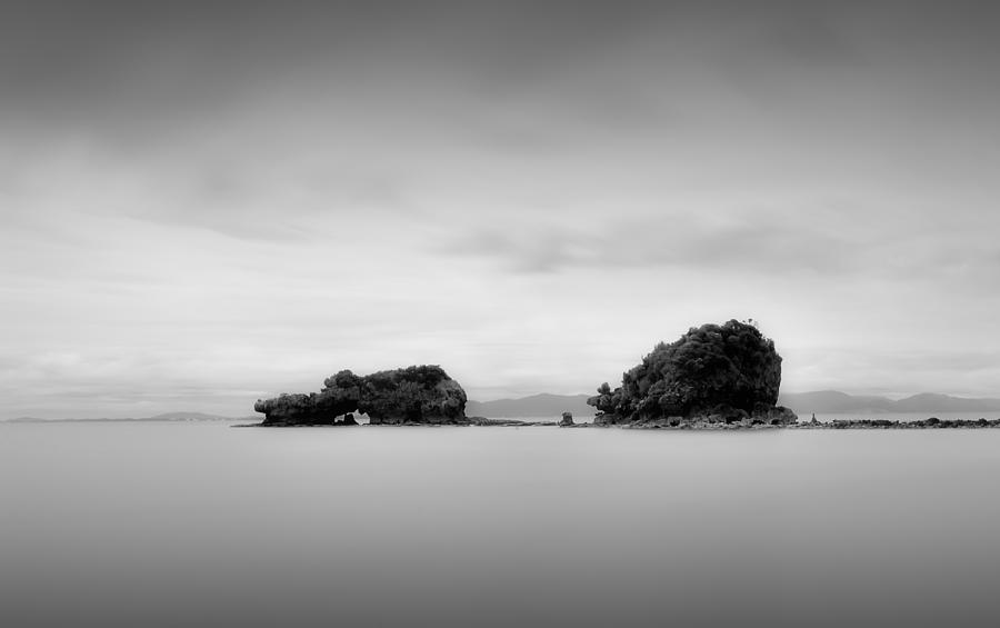 Seascape Photograph - Bird rock by Mihai Florea Seascape Photograph - Bird rock by Mihai Florea