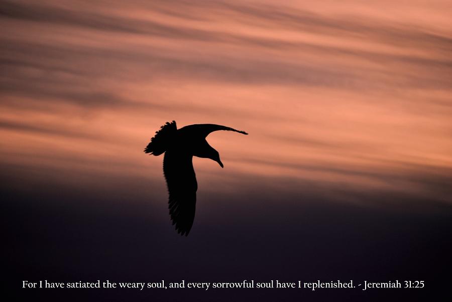 Tree Photograph - Bird Silhouette with Jeremiah 31-25 Scripture by Matt Quest