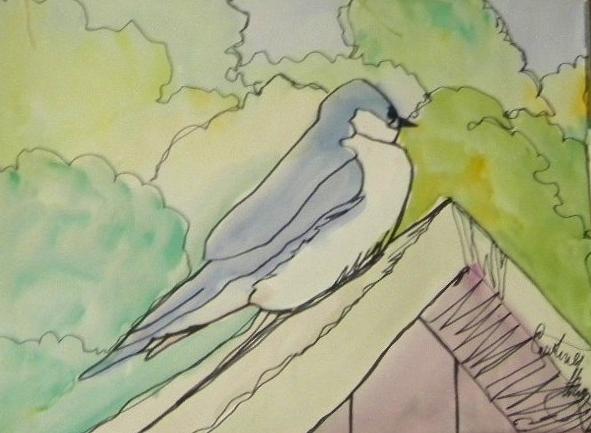 Bird Sketch Painting by Caroline Henry