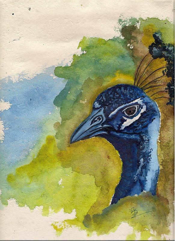 Bird Painting by Suman Ghosh
