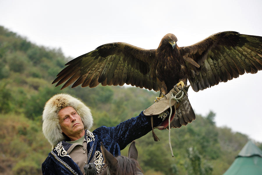 Eagle Photograph - Bird trainer on horseback holding up a Golden Eagle with spread  by Reimar Gaertner