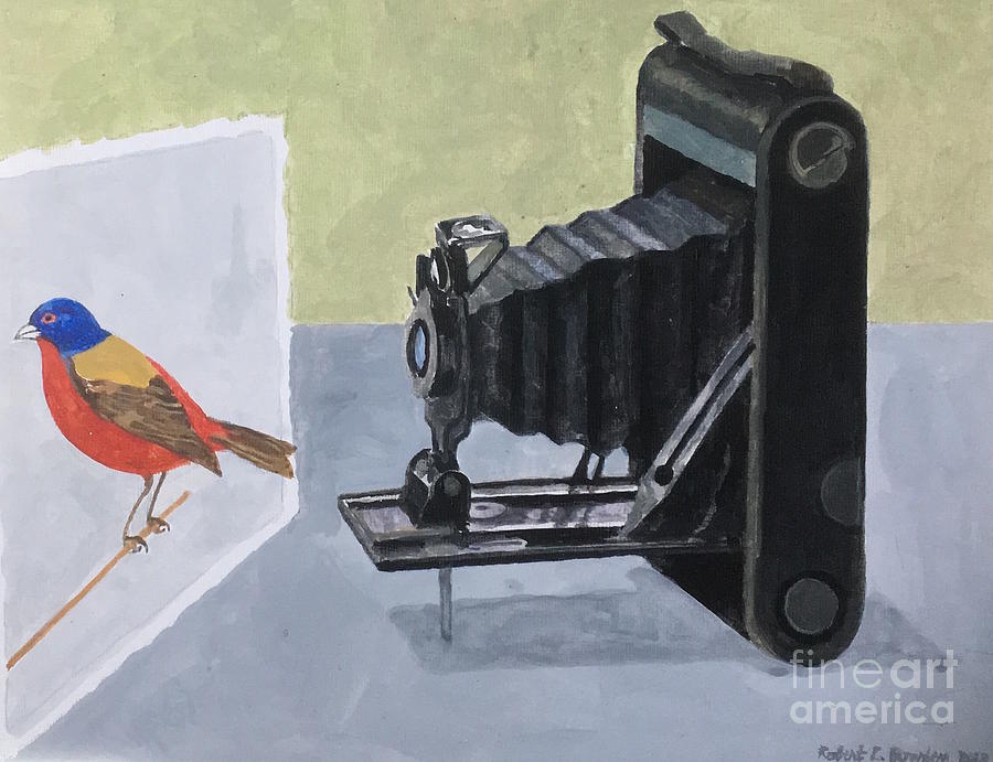 Camera Painting - Bird Watch by Robert Bowden