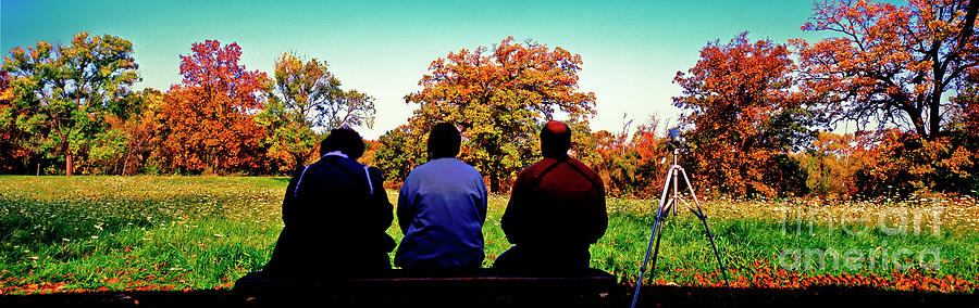  Bird Watchers Bench fall crabtree nature center cook county il  Photograph by Tom Jelen