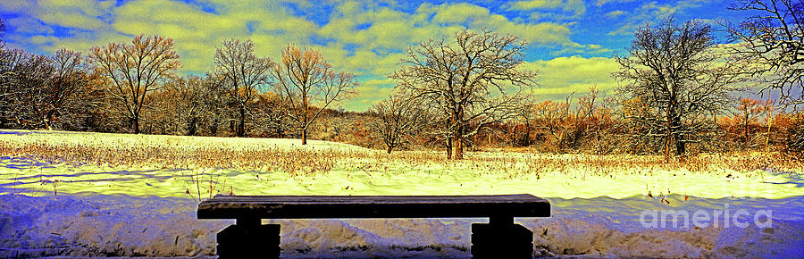 Bird Watchers Bench winter crabtree nature center cook county il Photograph by Tom Jelen