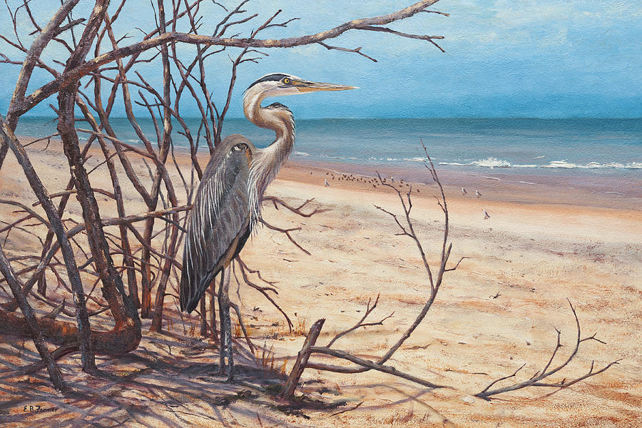 Bird Watching, Gray Heron on Cape Canavaral Seashore, FL Painting by Elaine Farmer