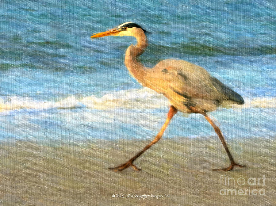 Bird with a Purpose Painting by Chris Armytage