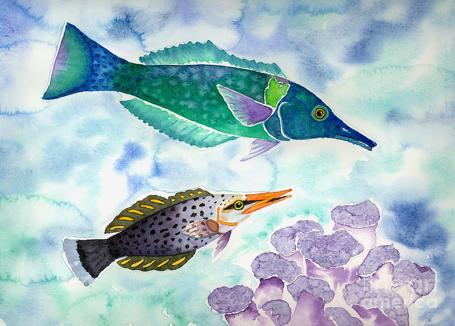 Bird Wrasse Painting by Lucy Arnold