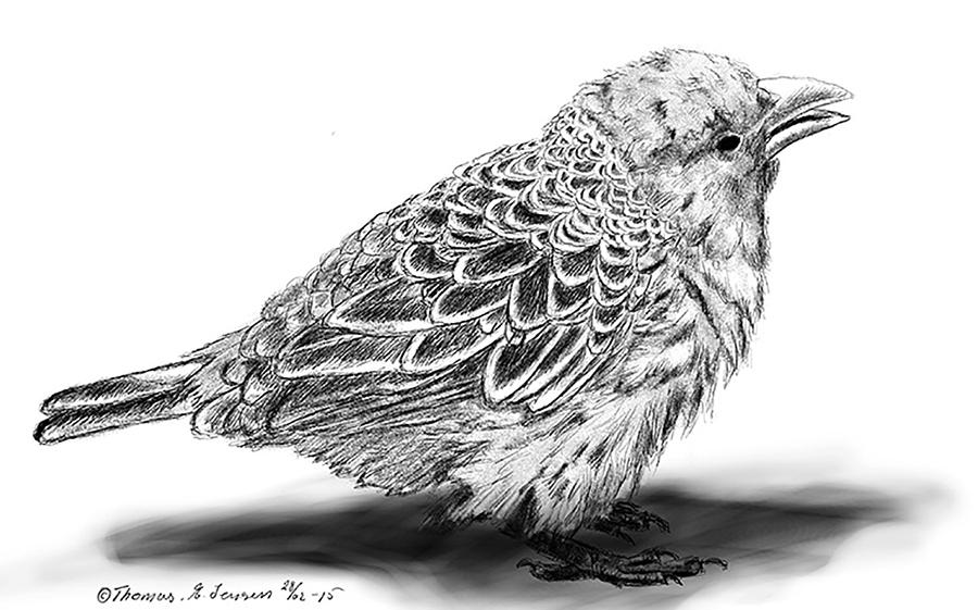 Bird#1 Digital Art by ThomasE Jensen