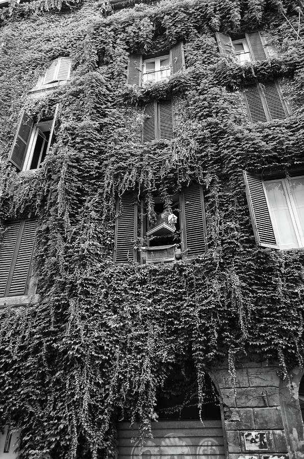 Birdcage in Shuttered Window Rome Italy Street Scene Black and White Photograph by Shawn OBrien