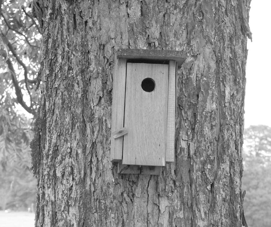 Birdhouse 2 in Black and White Photograph by Ali Baucom