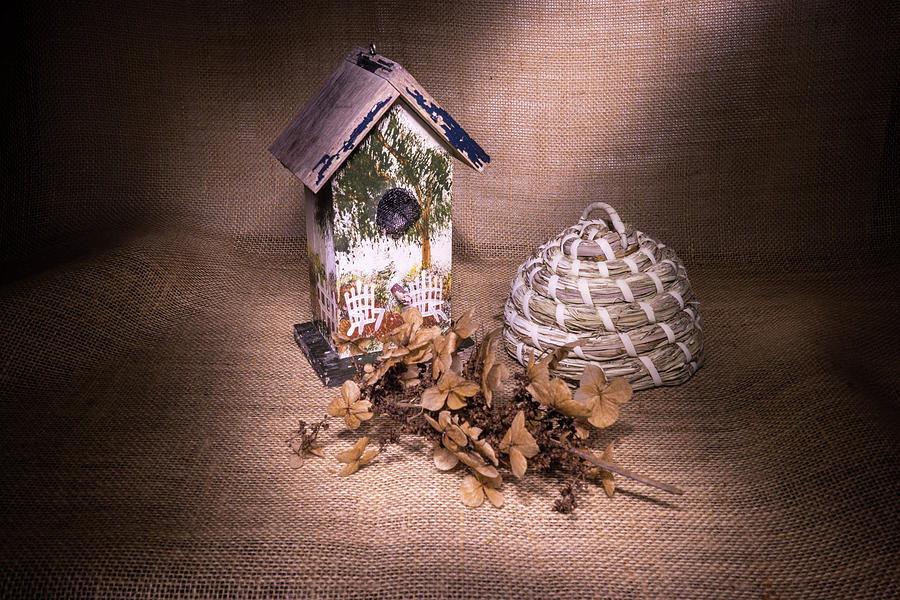 Birdhouse and Beehive 2 Photograph by Douglas Barnett