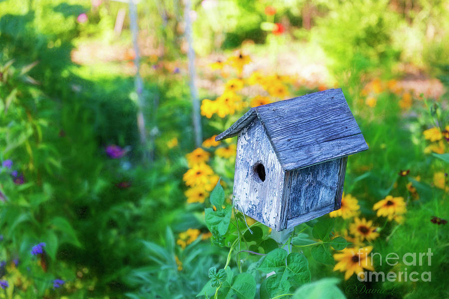 Birdhouse and Flowers Photograph by David Arment