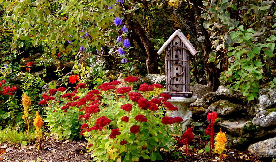 Birdhouse and Flowers Photograph by Lois Lepisto