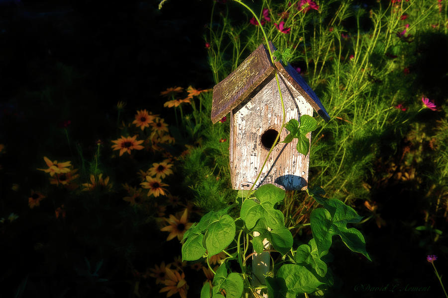 Birdhouse at Dusk Photograph by David Arment