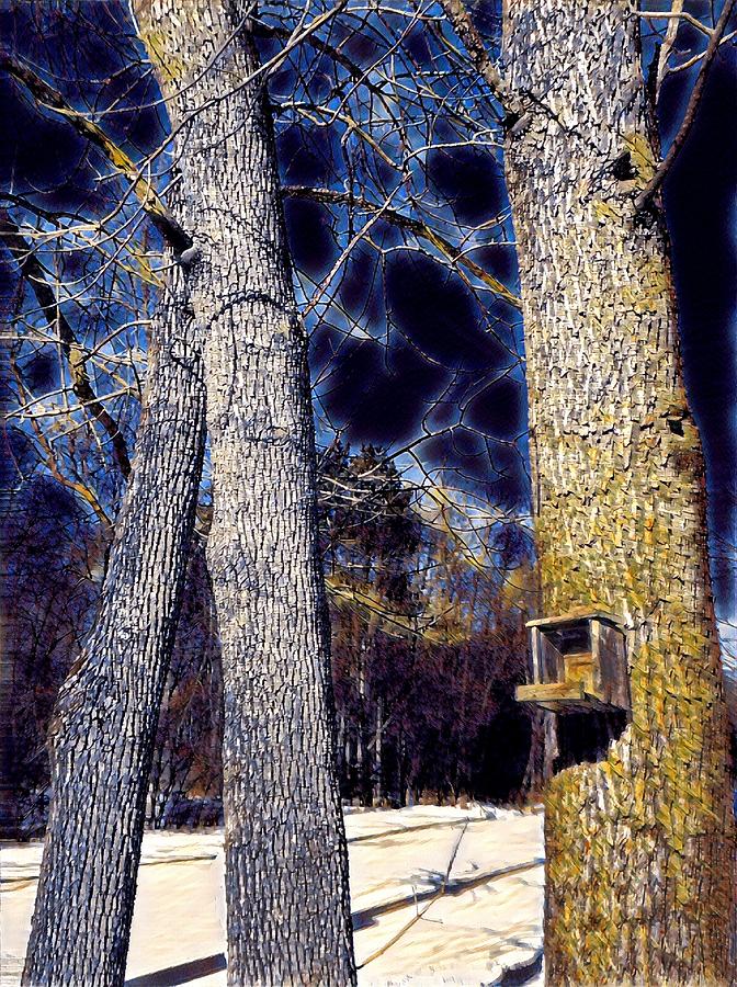 Birdhouse Blue In Winter Digital Art