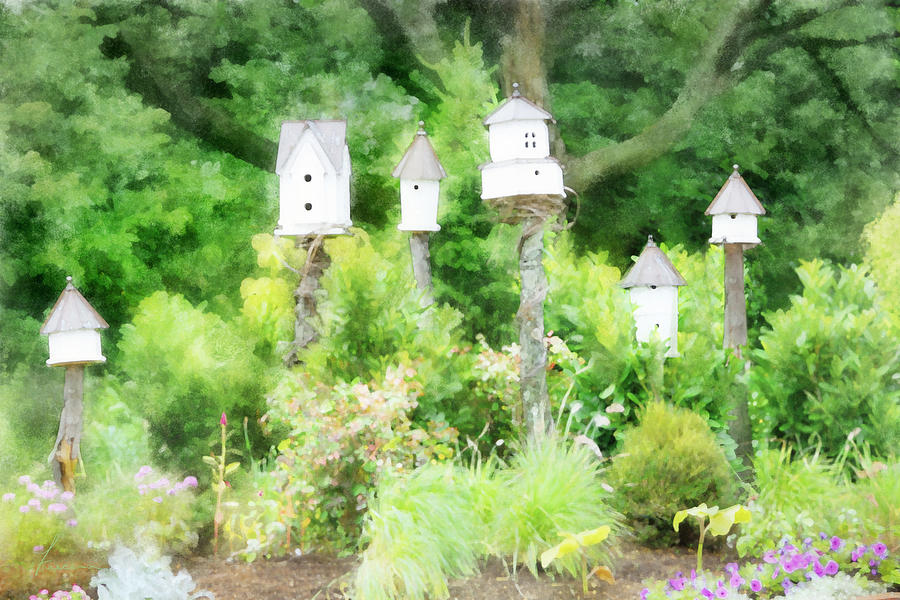 Birdhouse Garden 2 Digital Art by Frances Miller