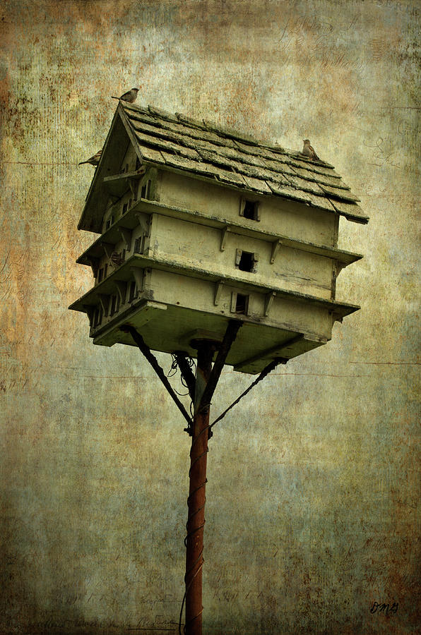 Birdhouse I Photograph by David Gordon
