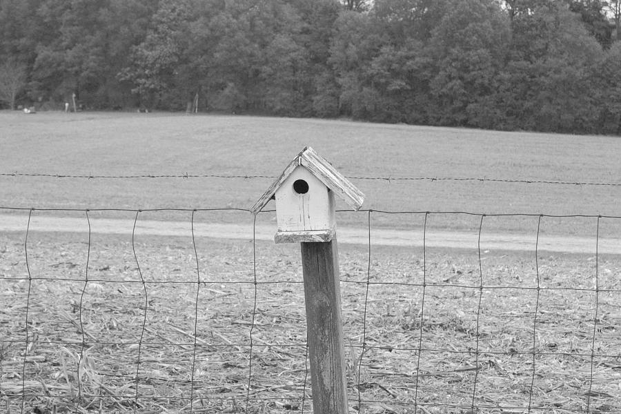 Birdhouse in Black and White Photograph by Ali Baucom