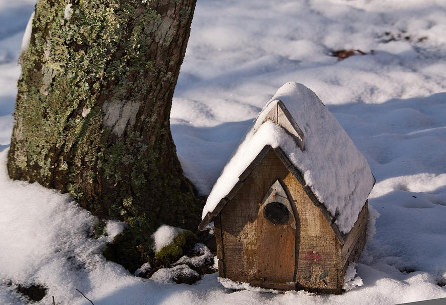 Birdhouse in Snow Photograph by Douglas Barnett