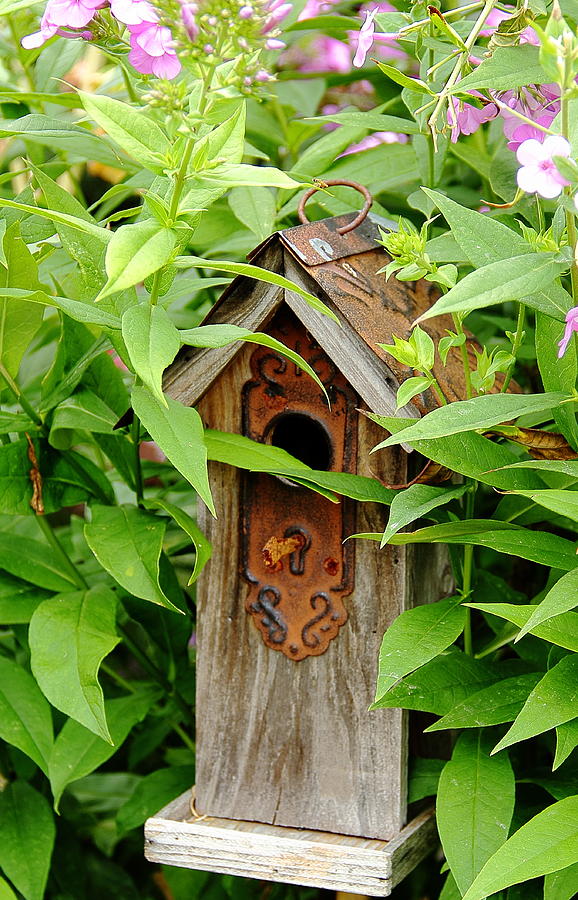 Birdhouse Lock and Key Photograph by Allen Nice-Webb