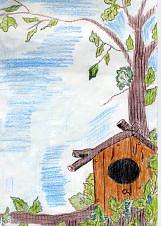 Birdhouse Drawing by Lorna Lorraine