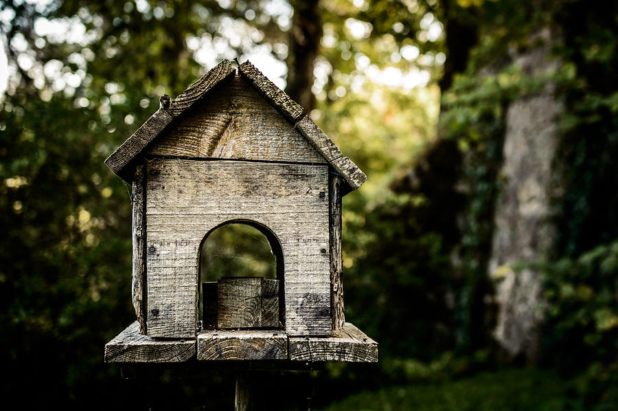 Birdhouse Photograph by Marco Oliveira