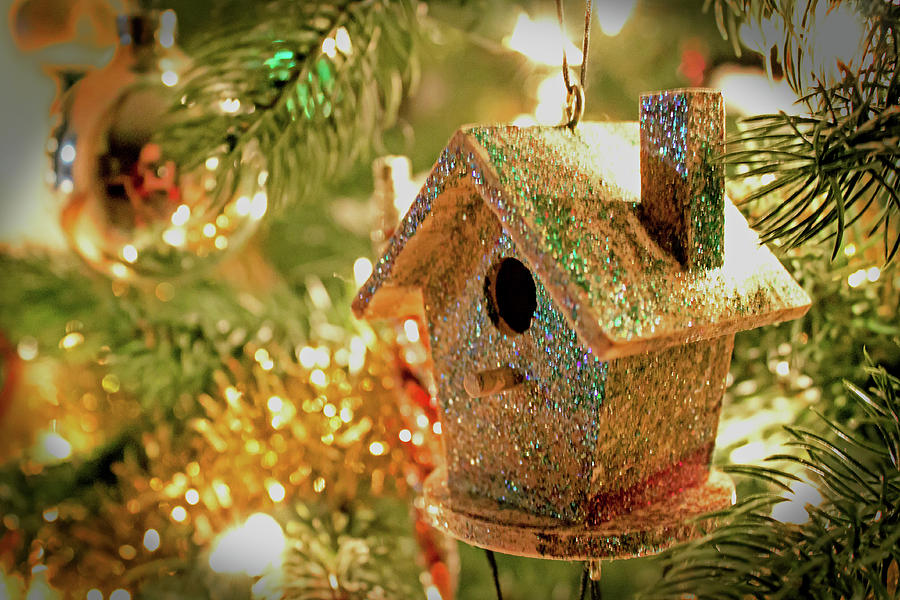 Birdhouse Ornament Photograph by Ira Marcus